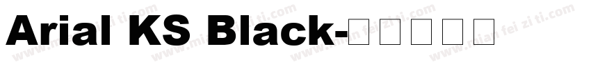 Arial KS Black字体转换